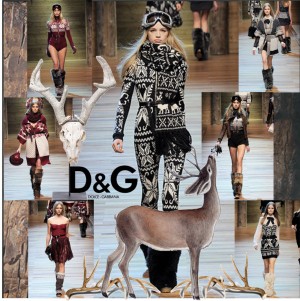 DG_FW2010