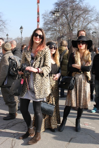 Leopard Ladies