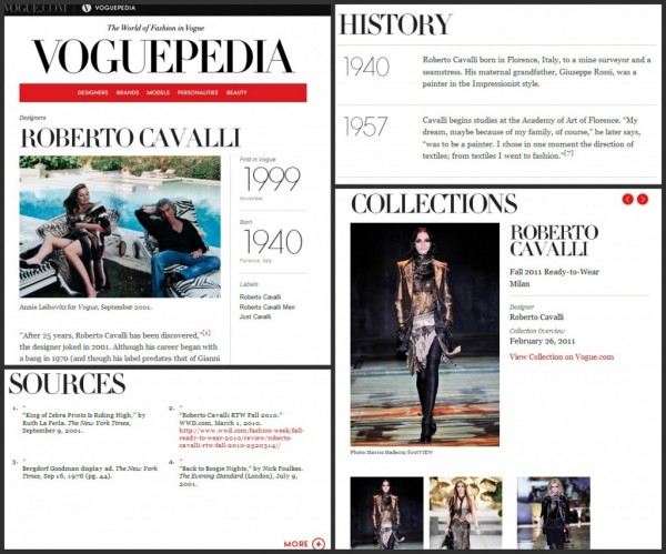 Roberto On Voguepedia