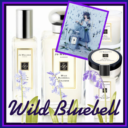 Wild Bluebell