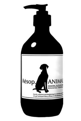 aesop_animal