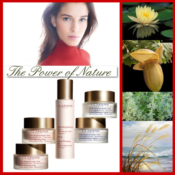 Clarins Power of Nature