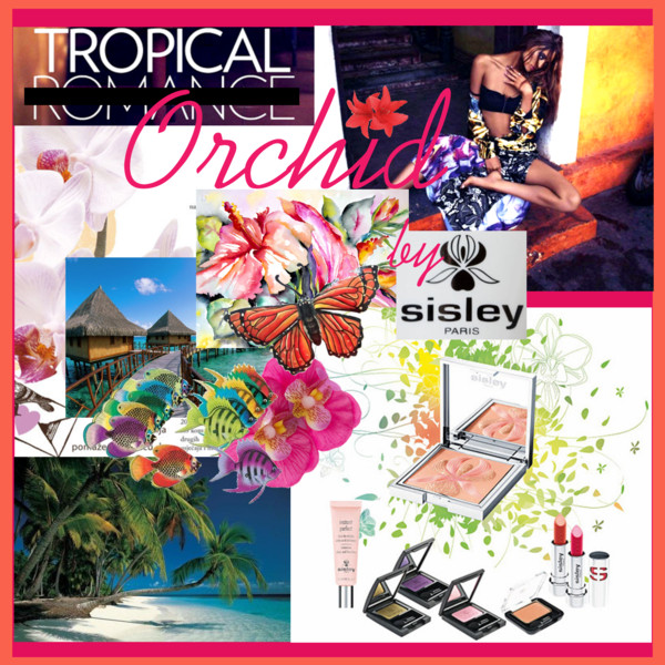 tropical orchid by sisley