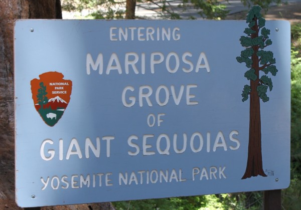 Giant Sequoias Sign