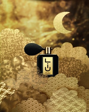 2012_XMAS_LIU_VAPO