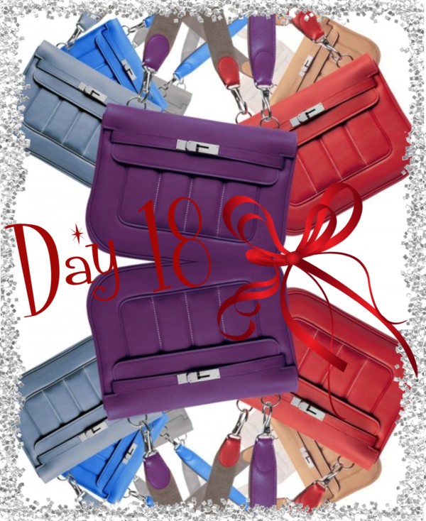 Day 18: The Berline Bag by Hermès