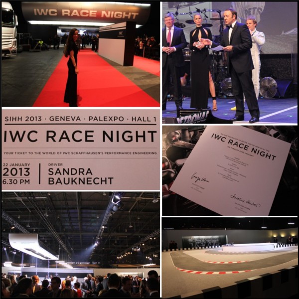 IWC_SIHH2013_Race_night
