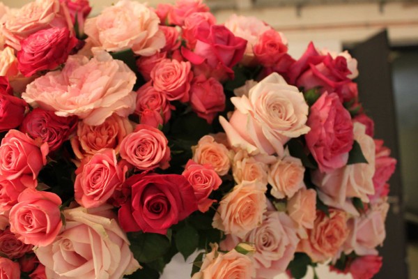 Roses_Dior