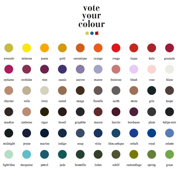Vote your colour