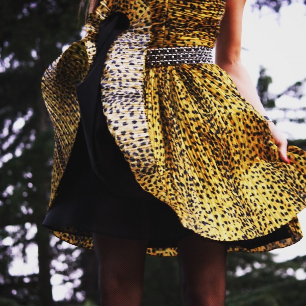 CloseUp_Saint_Laurent_Leopard_Dress