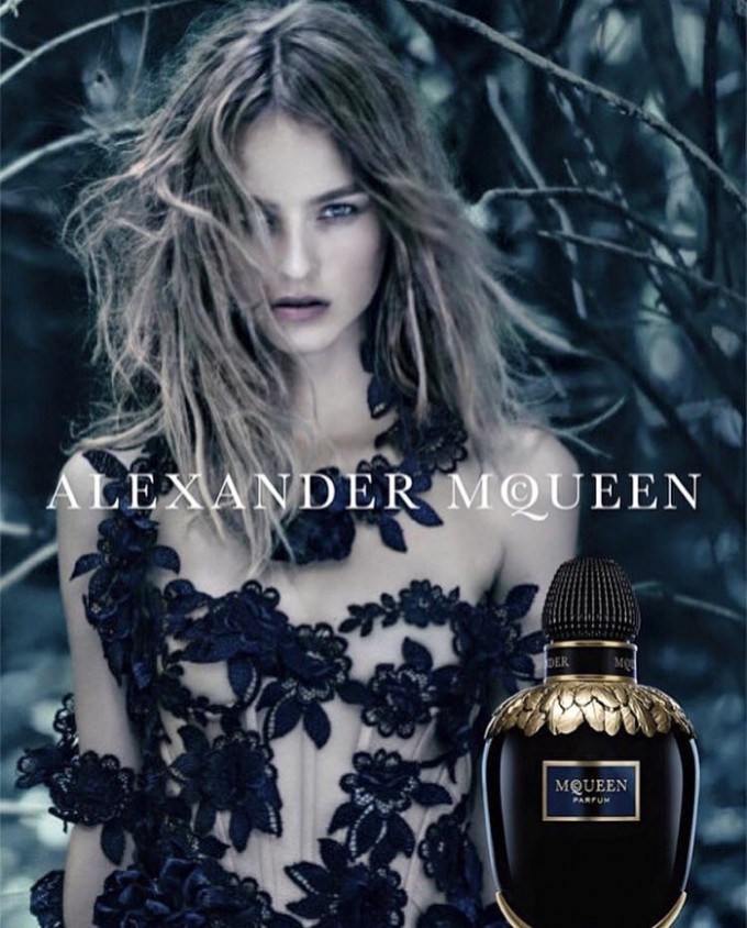 12 Fragrances like Alexander McQueen Kingdom Perfume