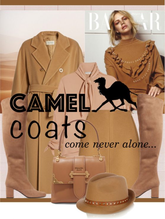 camel_coats