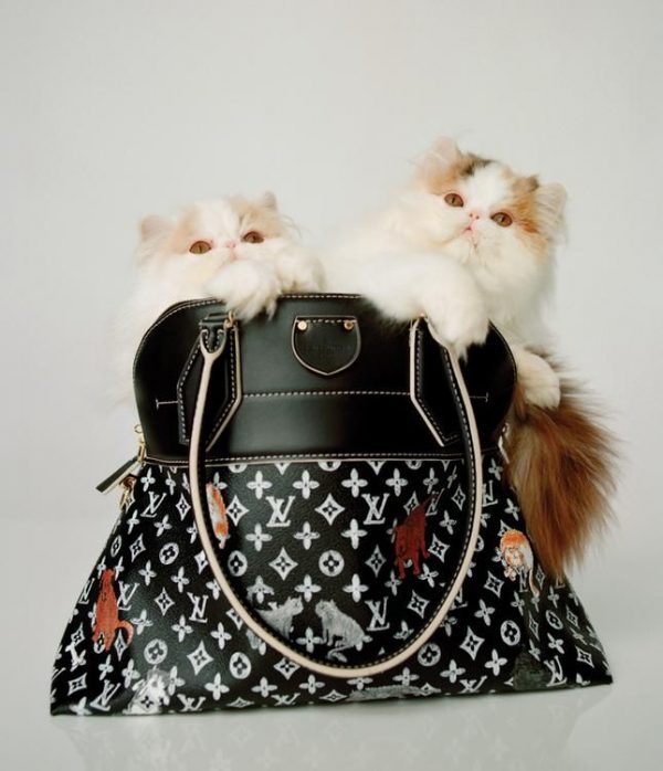 Felix The Cat Louis Vuitton Bags | SEMA Data Co-op