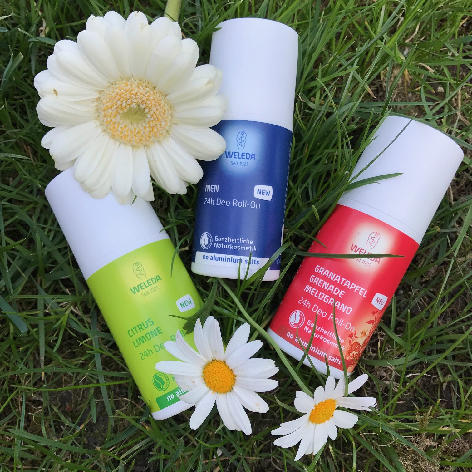 AluminiumFree Deodorants That Work Sandra‘s Closet