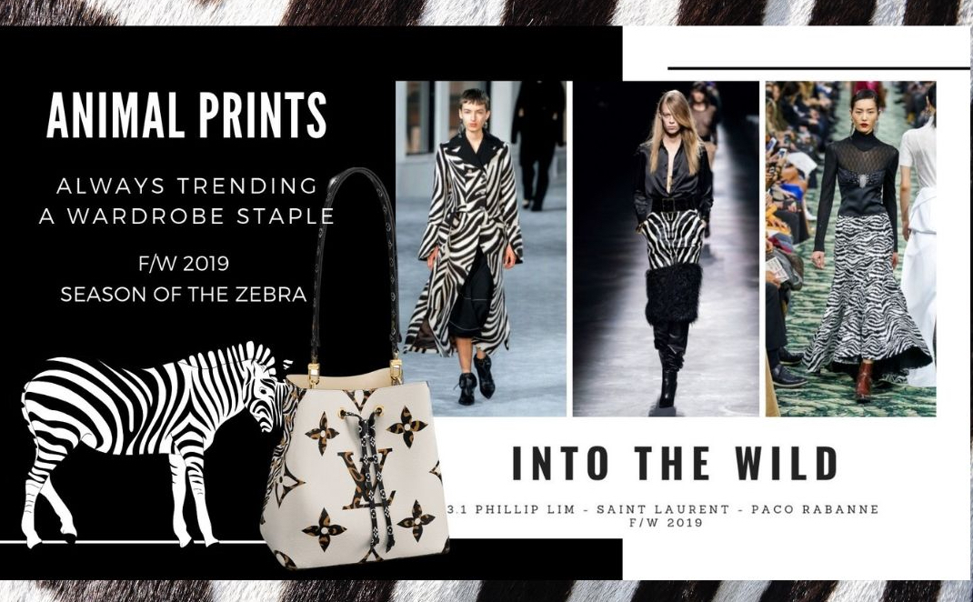 F/W 2019: The Season of the Zebra | Sandra‘s Closet
