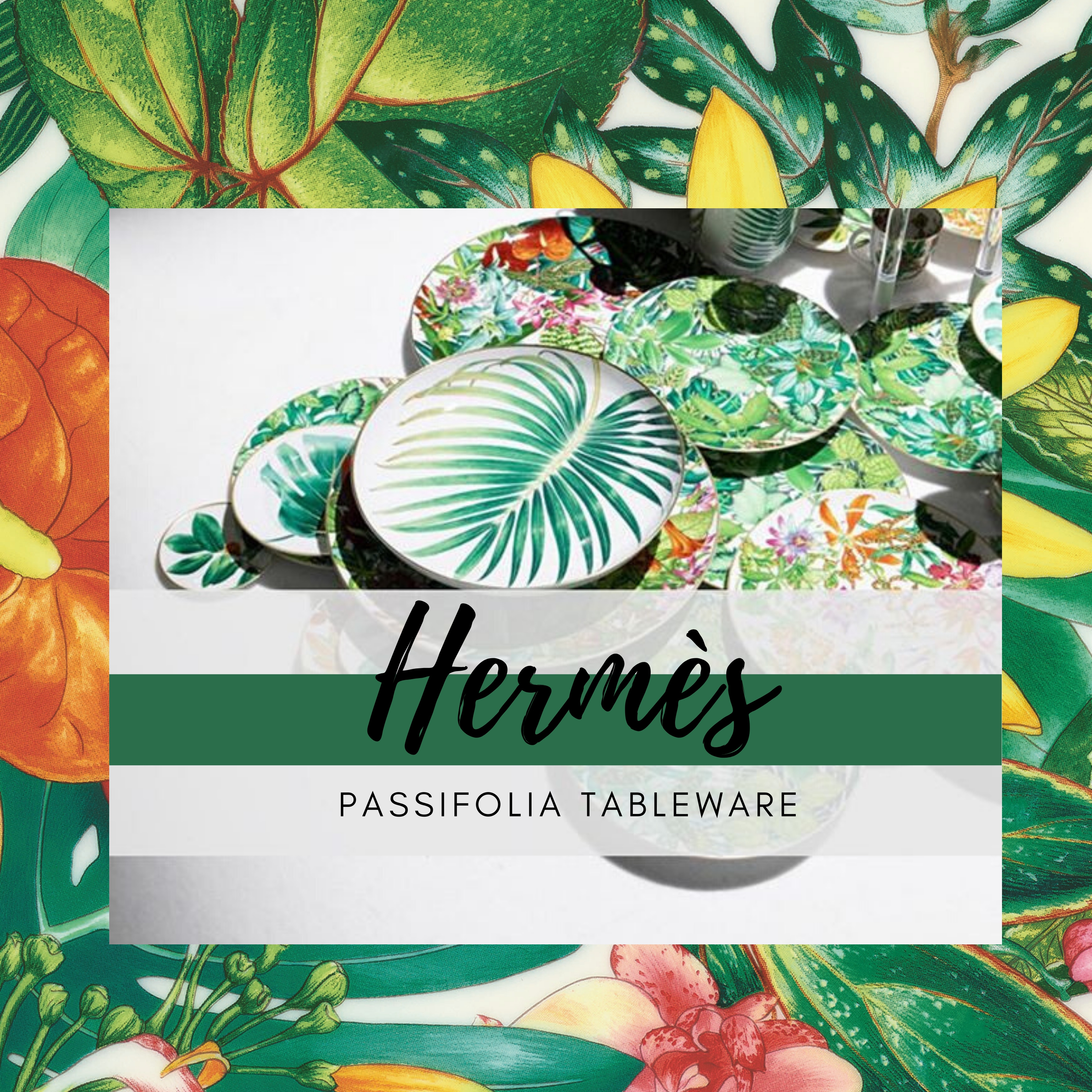 Hermès_passifolia_cover.jpg