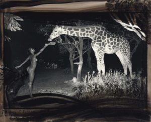 Nejma Khanum Beard | Sandra‘s Closet