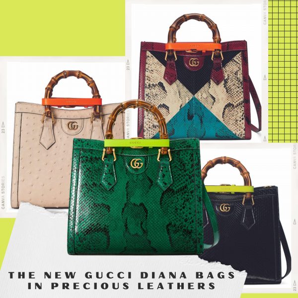 gucci on X: A new silhouette of the #GucciDiana portrays how the