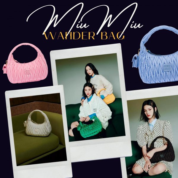 Miu Wander bag  Sandra's Closet