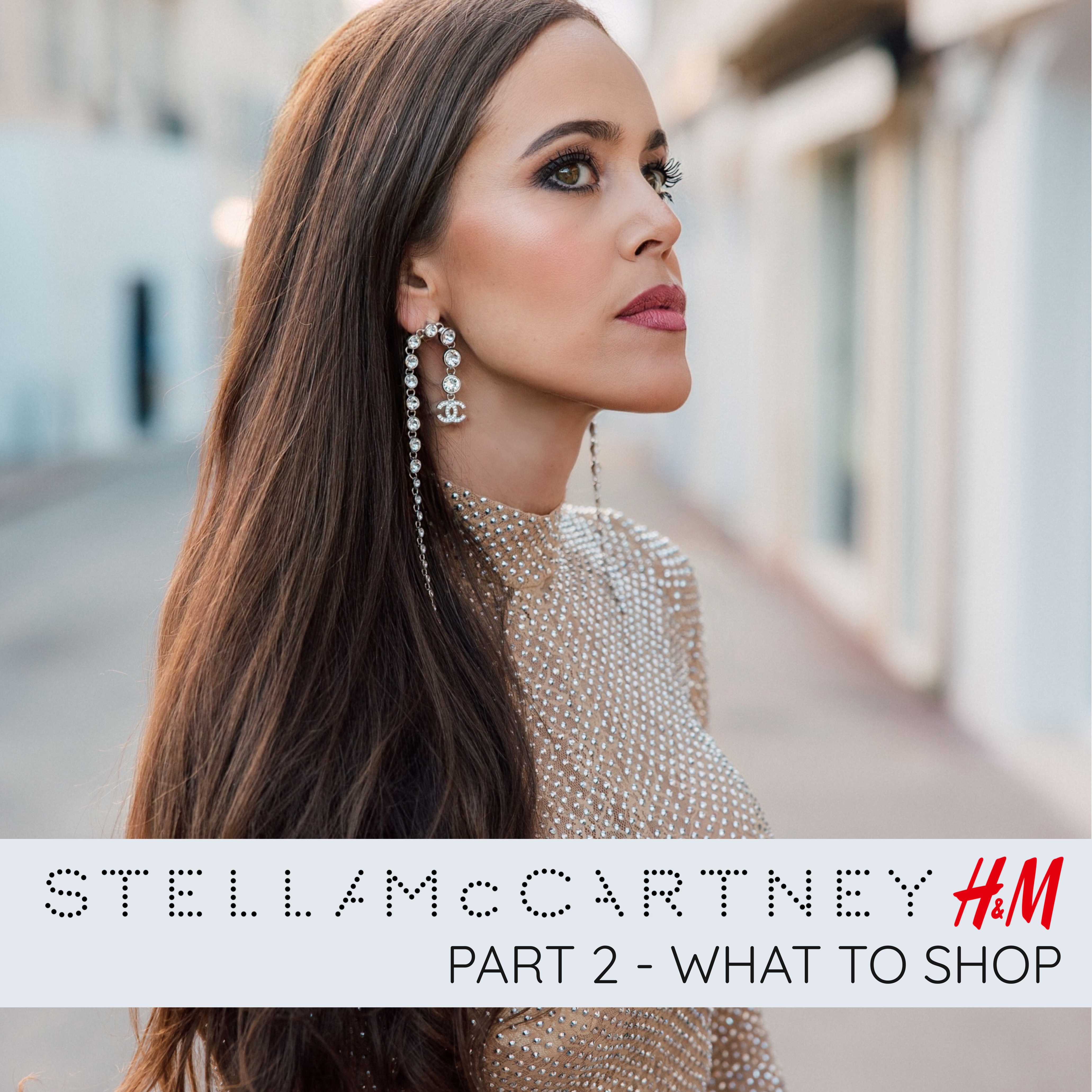 Stella McCartney x H&M Part 2 – What to Shop | Sandra's Closet